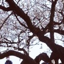 수로왕비릉(김해시 구산동 92-1) 이미지