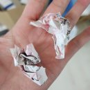 중대골 영생농원 앞 | 2023년 6월 : 먹고 마시고 군산여행, 상하농원, (여전히)슬램덩크, 주류박람회