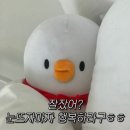 [9월] 여유 한 스푼 추가요