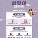 닥터포헤어전주