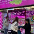 찌꼬뽀꼬 대전점 네이버블로그