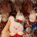 짱인형 SHOP 이미지