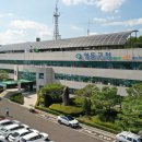 영동군정신건강복지센터 이미지