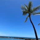 퀸스비치 이미지