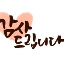 김쌤스타일