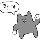 쿨데삭