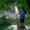 꿈꾸는유배지늡다리 이미지