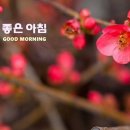 논골길 네이버블로그