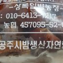 상록알밤농장 이미지