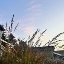 미지하우스 이미지