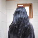 탈모예방샴푸 추천 지루성 두피 카포리 샴푸로 간지러움 개선 사용감 후기!