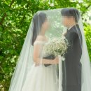 메리왈 | [얼렁뚱땅 결혼 준비. S1-8. 스튜디오 촬영 후기- 메리미용마 배경 4: 1층 통창씬]