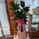 현대자동차 옥동점 이미지