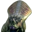 프로토케라톱스 이미지