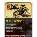 종근당건강 산삼배양근 30P 싸게팝니다 판매가 50.000원 이미지