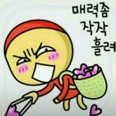 통통통 이미지