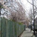 선포약수터 이미지