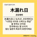 제주그루 이미지