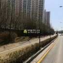 용호2로 Daum카페