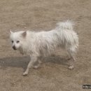 오복펜션 이미지