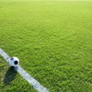 이천시 히딩크드림필드 (시각장애인축구장) 이미지