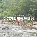강원도 인제 가볼만한곳 방태산 아침가리계곡 트레킹