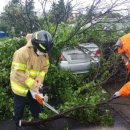 서호동-45 이미지