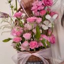 아인플로라 이미지