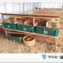 자연부화장 이미지