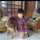 우리가축인공수정소 네이버블로그