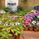 금강노래방 이미지