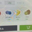 그릭데이 북문로점 이미지