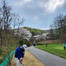 링스골프스쿨 이미지