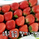 뚜레쥬르제주이도초교점