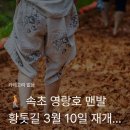 6월 둘째주 일요일 날 갈 &#34;속초 영랑호 맨발 황톳길&#34;5개월 만에 4만명이 다녀간 휠링 관광명소 이미지