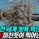 한국 집속탄 이미지