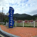 단풍미인한우영농조합 | 10월여행지추천 정읍 구절초지방정원에서 열리는 가을꽃축제 지금 구절초가 보기 좋은 시기