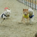 무지개훈련소 이미지