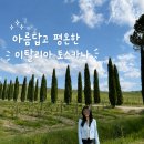 주노하우스 | 토스카나 와이너리 투어 추천 이탈리아 시에나 산지미냐노 당일치기 피렌체 근교 여행 vs 로마 이동