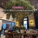 경주최문 충효각 | 여행 필수 코스! 세계 1위 '게이샤 커피' 박물관 &amp; 시음, 게이샤 익스피리언스(Geisha Experience) 후기