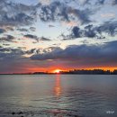 배곧한울공원 이미지