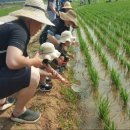 지구살림 사회적협동조합 이미지