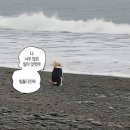 비아톨레도 이미지