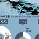 한국얼음 이미지