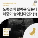 일산 클래식 동물병원 이미지