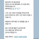 초등아이와 함께 간 방탈출 까페 대구 동성로 룸즈에이