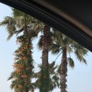 일빈관 | 제주(당일치기)여행기