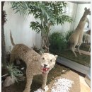 우덕어린이집 이미지