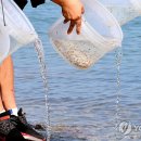 인천수산 - 양천구 곰달래로13길 13-1 | 인천수산
