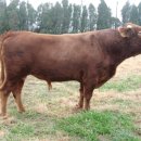 효자목장 이미지